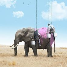Mon projet du cours : Photomontage et illustrations fantastiques sur Photoshop. Een project van Fotografie, Collage, Retoucheren van foto's, Digitale illustratie, Fotografische compositie y Fotomontage van Patrice DEJEAN - 29.12.2021