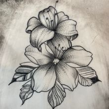 Mon projet du cours : Tatouage botanique en pointillisme. Traditional illustration, Tattoo Design, and Botanical Illustration project by giancaema - 12.04.2021