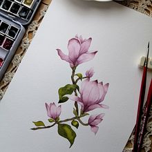 Mi Proyecto del curso: Acuarela botánica: ilustra la anatomía de las flores. Traditional illustration, Fine Arts, Painting, Drawing, Watercolor Painting, and Botanical Illustration project by Carmen Flores - 12.30.2021