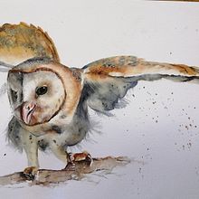 My project in Artistic Watercolor Techniques for Illustrating Birds course. Projekt z dziedziny Trad, c, jna ilustracja, Malowanie akwarelą, R, sunek realist, czn, Ilustracja naturalist i czna użytkownika Sandra Meyer - 24.12.2021