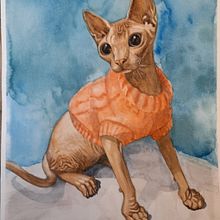 My project in Scientific Illustration of Animals in Watercolor  course. Projekt z dziedziny Trad, c, jna ilustracja, Malowanie akwarelą, R, sunek realist, czn, Ilustracja naturalist i czna użytkownika Anna - 29.12.2021