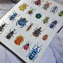 Proyecto personal. Insectos Ein Projekt aus dem Bereich Traditionelle Illustration von Ana Lizbet Quiroz Guevara - 30.12.2021