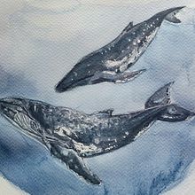 My project in Naturalist Illustration Techniques: Whales in Watercolor course. Un progetto di Illustrazione tradizionale, Design di poster , Illustrazione digitale e Manga di Nina Gotua - 30.12.2021