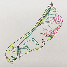 Observational Drawings. Projekt z dziedziny  R i sunek użytkownika Bel Pye - 30.12.2021