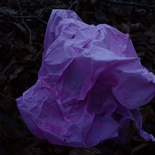 Photography. Photograph project by Bel Pye - 12.30.2021