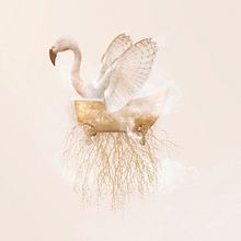 Imaginarios - Ladies . Ilustrasi tradisional, Kolase, Dan Seni Rupa proyek oleh Silvia Ojea - 12.30.2021