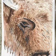 My project in Expressive Animal Portraits in Watercolor course. Un projet de Illustration traditionnelle, Aquarelle, Dessin réaliste et Illustration naturaliste de vxmastro - 30.12.2021