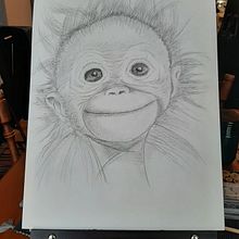 Singe au crayon de plomb. Een project van Tekening met potlood y Traditionele illustratie van Catherine - 30.12.2021