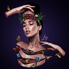 Butterflies. Photograph, Graphic Design, Photo Retouching, and Photomontage project by Liz Vargas - 12.27.2021