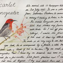 My Bird Journal Ein Projekt aus dem Bereich Aquarellmalerei von Ruth Sparrow - 31.12.2021