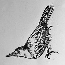 My project in Contemporary Printmaking with Linoleum course. Traditional illustration, Arts, Crafts, Fine Arts, and Printing project by hannah_elisabeth - 12.31.2021