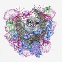 My project in Surrealist Illustration Inspired by Nature course. Projekt z dziedziny Trad, c, jna ilustracja, R, sunek ołówkiem,  R, sunek,  R, sunek art, st, czn, Ilustracja naturalist, czna, R i sowanie kredkami użytkownika Suzanna Watkinson - 30.12.2021