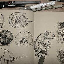 My project in Daily Sketching for Creative Inspiration course. Projekt z dziedziny Trad, c, jna ilustracja, Sketching, Kreat, wność,  R, sunek i Sketchbook użytkownika hannah_elisabeth - 31.12.2021