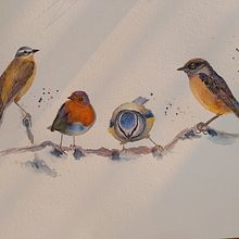 My project in Artistic Watercolor Techniques for Illustrating Birds course. Un proyecto de Pintura a la acuarela, Ilustración tradicional, Dibujo realista e Ilustración naturalista				 de melindaszajkoova - 20.01.2022