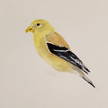 My project in The Art of Watercolor: Paint Your Vision of the World course. Un proyecto de Ilustración tradicional, Bellas Artes, Pintura y Pintura a la acuarela de Elizabeth Witherspoon - 01.01.2022