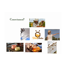 Vida de Abellas.. Un projet de Marketing, Cop, writing, Stor, telling, Marketing de contenu , et Communication de Jesús Ferreras - 01.01.2022