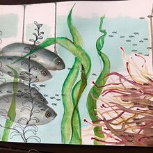 My project in Marine Universe Illustration in Watercolor course. Projekt z dziedziny Trad, c, jna ilustracja,  Malarstwo, Malowanie akwarelą, Ilustracja naturalist i czna użytkownika Ewelina Zaborowska - 02.01.2022