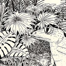 My project in Dip Pen and Ink Illustration: Capturing The Natural World course. Un progetto di Bozzetti, Disegno, Disegno artistico, Sketchbook, Illustrazione con inchiostro e Illustrazione naturalistica di dominiquedodge - 29.12.2021