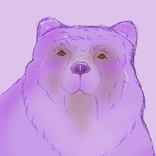 Un po'di lavori.... Traditional illustration project by Linda Cudicio - 01.02.2022