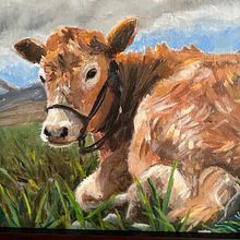 Cow in a field. Un projet de Peinture à l'huile de Kim - 07.11.2021