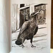 Raven. Un projet de Dessin de Kim - 05.10.2021