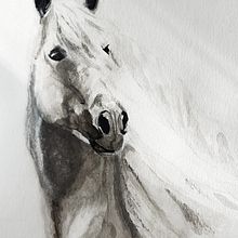 Mon projet du cours : Portraits expressifs d'animaux à l'aquarelle. Watercolor Painting project by martinecach - 09.06.2022