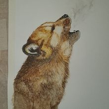 Howling wolf pup. Un progetto di Illustrazione tradizionale, Pittura ad acquerello, Disegno e Pattern design di Henriëtte Doornwaard - 02.01.2022