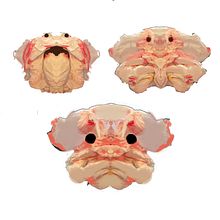 Evil Devil Dude for  3D Characters on Your iPad course. Un progetto di Illustrazione tradizionale, 3D, Character design, Illustrazione digitale, Modellazione 3D, Character design 3D e Pittura digitale di Hayden Burgess - 03.01.2022