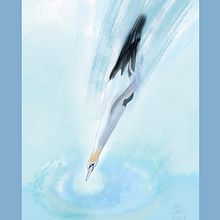 Naturalistische Tiermalerei: Basstölpel im Sturzflug. Un proyecto de Pintura, Bellas Artes, Ilustración naturalista				, Ilustración digital y Pintura digital de Anne Schwarz - 03.01.2022