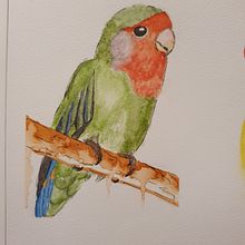 Watercolor Love Bird collection. Un progetto di Illustrazione tradizionale, Belle arti, Bozzetti e Pittura ad acquerello di Henriëtte Doornwaard - 03.01.2022