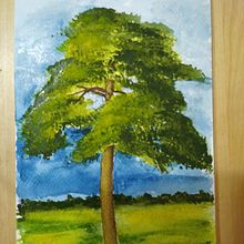 Natura . % pauliwinu tarafından hazırlanan Güzel sanatlar, Ve Tablo projesi - 01.03.2022