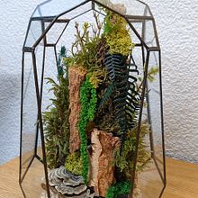 Mi Proyecto del curso: Creación de terrarios con la técnica Tiffany. Projekt z dziedziny Projektowanie dodatków, Projektowanie wnętrz,  Dekoracja wnętrz, DIY, Kompoz i cje kwiatowe i botaniczne użytkownika Jaime Lago Boza - 03.01.2022