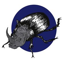 Le monde des insectes, source d’inspiration . Un proyecto de Ilustración tradicional de berthelotlucie - 03.01.2022