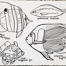 Coloring Page Fish Drawing . Drawing, and Traditional illustration project by Rebecca B - 01.04.2022