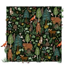 Mon projet du cours : Illustration numérique de motifs inspirés de la faune et la flore. Traditional illustration, Pattern Design, Drawing, Digital Illustration, and Botanical Illustration project by Florence Demange - 01.04.2022