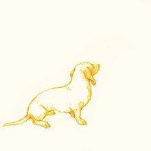 BIKOpictures. Un progetto di Illustrazione tradizionale di Birgit - 04.01.2022