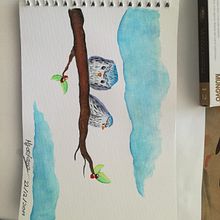 Previous artworks. Een project van Traditionele illustratie, Craft y Animatie van Meaghan Jordaan - 21.12.2020