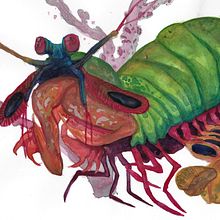 Mi Proyecto del curso: Ilustración científica de animales en acuarela. Traditional illustration, Watercolor Painting, Realistic Drawing, and Naturalistic Illustration project by juanmanuelfarietta - 01.04.2022