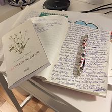 Une sans-abri en ski. Writing, Creativit, Creative Writing, Stor, telling, and Narrative project by Brigitte Gervais - 12.30.2021
