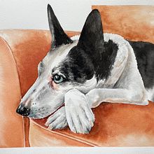 Animal Portraits & Xena. Projekt z dziedziny Trad, c, jna ilustracja, Malowanie akwarelą, R, sunek realist, czn, Ilustracja naturalist i czna użytkownika Kelly K - 05.01.2022