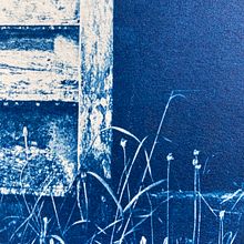 Mi Proyecto del curso: Cianotipia: técnica de impresión con luz. Un progetto di Artigianato, Belle arti, Stampa, DIY e Fotografia analogica di Julieta Andrea Hain - 30.10.2021