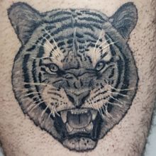 Tatuagem de Tigre. Tattoo Design project by Jimmy Dantas - 11.16.2021