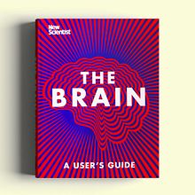 The Brain: A user's guide. Design, Editorial Design, Traditional illustration, Infographics, Information Design, and Graphic Design project by Valentina D'Efilippo - 01.05.2022