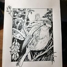 My project in Dip Pen and Ink Illustration: Capturing The Natural World course. Sketching, Drawing, Artistic Drawing, Sketchbook, Ink Illustration, and Naturalistic Illustration project by eluned_eleven - 01.05.2022