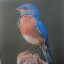 Mi Proyecto del curso: Técnicas experimentales de acuarela para principiantes. Un progetto di Illustrazione tradizionale, Belle arti, Pittura ad acquerello e Illustrazione naturalistica di Francisco Garate Caceres - 05.01.2022