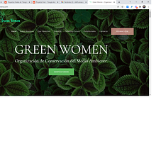 Mi Proyecto del curso: Google,Facebook y instagram  Green Women . Marketing, Social Media, Digital Marketing, Mobile Marketing, Instagram, Facebook Marketing, Instagram Marketing, Growth Marketing, and SEM project by Steff Carrasco S. - 01.04.2022