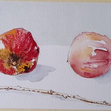 Il mio progetto del corso: Illustrare la natura: esplorazione creativa . % margherita caccetta tarafından hazırlanan Geleneksel illüstras, on, Tablo, Çizim, Sulubo, a Resim, Mürekkep İllüstras, onu, Doğalcı İllüstras, Ve on projesi - 01.06.2022