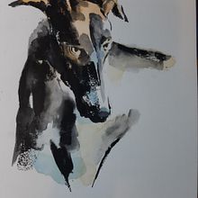 Watercolor Techniques for Beginners course. Un proyecto de Ilustración tradicional, Bellas Artes, Pintura a la acuarela e Ilustración naturalista				 de Diana D'allori - 06.01.2022