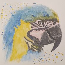 Blue Yellow Macaw Portrait in watercolor. Un progetto di Illustrazione tradizionale, Disegno, Pittura ad acquerello e Pattern design di Henriëtte Doornwaard - 07.01.2022