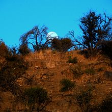 Mi Proyecto del curso: Fotografía de paisaje y naturaleza. Photograph, Outdoor Photograph, Instagram Photograph, Documentar, Photograph, and Photographic Composition project by benjamin pino lavin - 01.07.2022